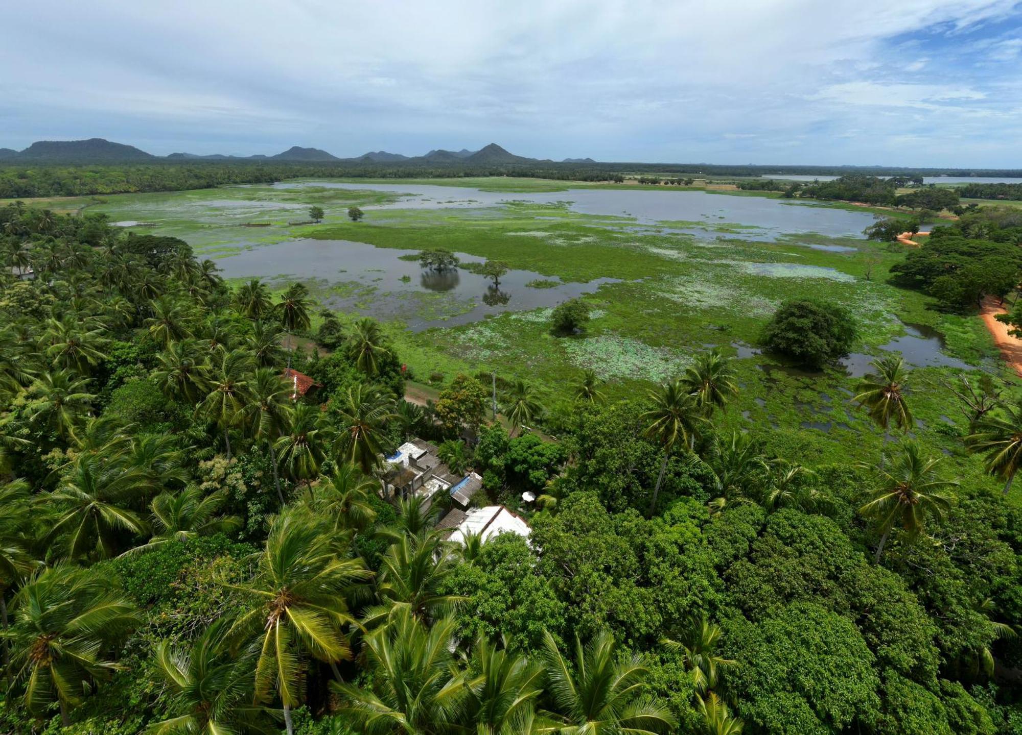 Hotel ทิซซามาฮารามา ภายนอก รูปภาพ
