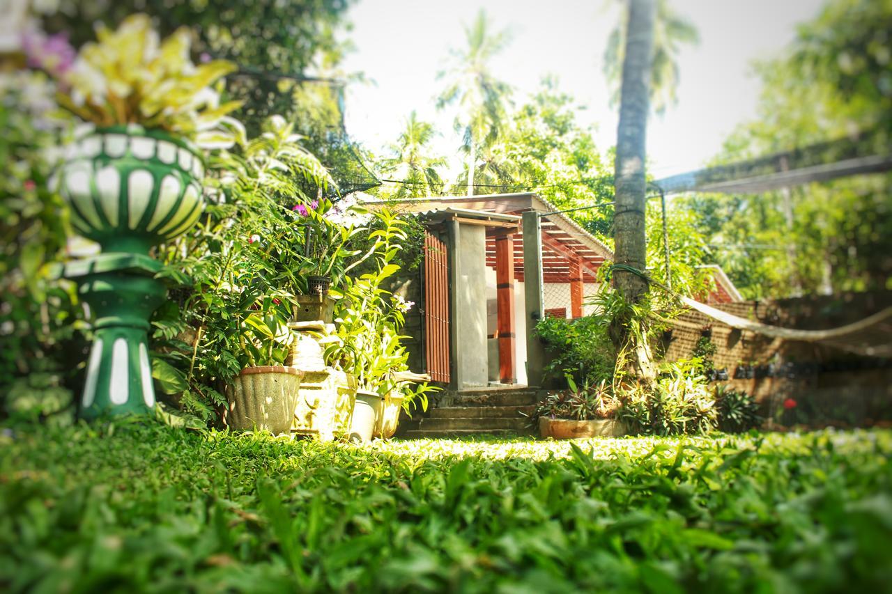 Hotel ทิซซามาฮารามา ภายนอก รูปภาพ
